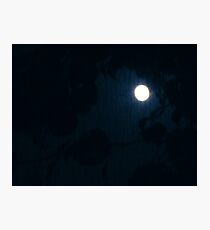 Night Sky Photographic Print
