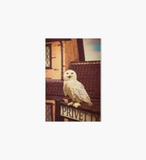 Hedwig on Privet Drive Sign Art Board