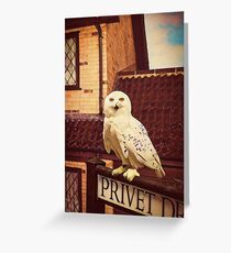 Hedwig on Privet Drive Sign Greeting Card
