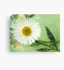 Because I Love You - He picks me flowers everyday Canvas Print