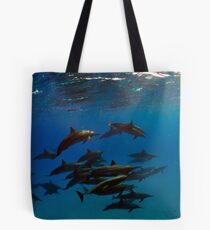 A school of bottlenose dolphins in Sataya Reef Tote Bag