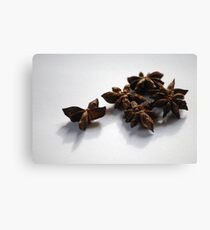 Chinese anise Canvas Print