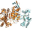 #Enzyme #Informatics, #EnzymeInformatics, #particle #chemistry #medicine #biology #science #biochemistry #shape #chemical #illustration #acid #connection #design #symbol #molecular #insect #horizontal by znamenski