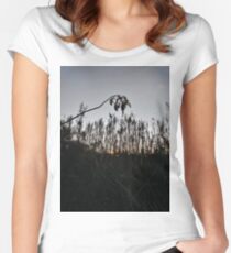 #plant #leaf #morning #grass #landscape #tree #sky #nature #outdoors #wood #environment #weather #vertical #branch #plantpart #nopeople #sunrise #dawn #light #naturalphenomenon #nonurbanscene #day Women's Fitted Scoop T-Shirt