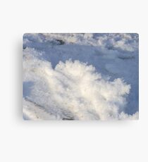 White Christams Canvas Print