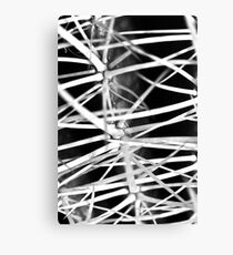 Spike Canvas Print