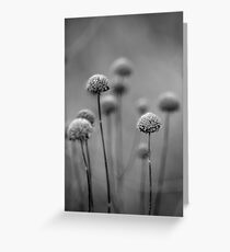 Saturday Greeting Card