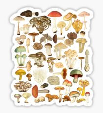 Pegatina Mushroom Lover Botanical Fungi Plants Morel Psychedelic Mushroom Forager Mushroom Gift