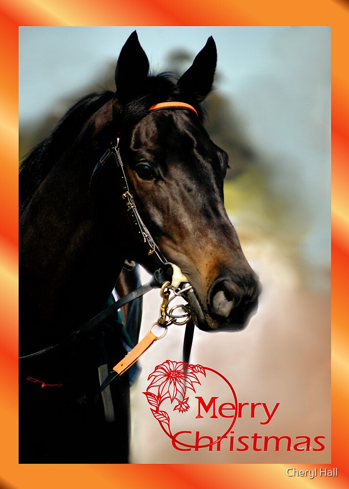 &quot;HORSE - MERRY CHRISTMAS CARD&quot; by Cheryl Hall | Redbubble
