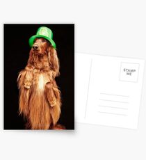 Irish Charmer Postcards