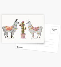 llamas Postcards