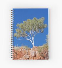 Ghost Gum, Ord River, Kununurra, Western Australia Spiral Notebook