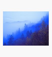 MOUNTAIN MIST Photographic Print
