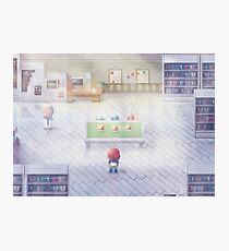 The Choice Photographic Print