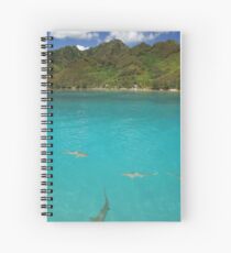 Multiple Black Tip Reef Sharks, Moorea Spiral Notebook