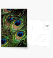 Exquisite Postcards