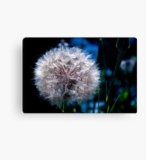 Flossy Canvas Print