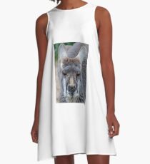 Kangaroo A-Line Dress
