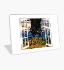 How to Train Your Dragon Toothless Laptop Skin