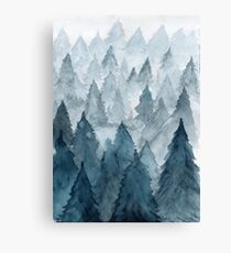 Clear Winter Canvas Print