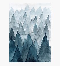 Clear Winter Photographic Print