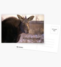Mary Christmoose Postcards