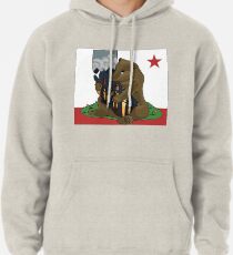 Feuer in Kalifornien - KÜNSTLER FÜHRT WIDDFIRE RELIEF Hoodie