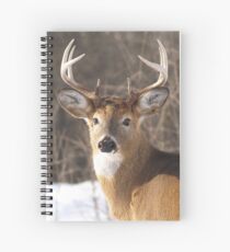 Cuaderno de espiral A Dab Of Snow.