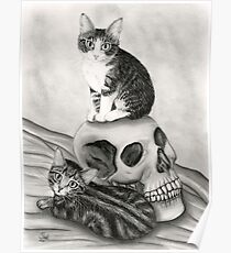 Witch's Kittens Skull Tabby Cats Poster