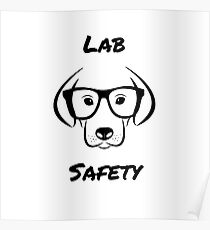 Lab Safety Posters | Redbubble