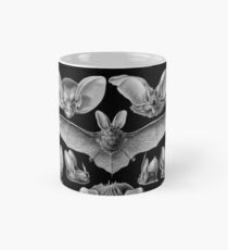 Bat Haeckel Illustration Mug
