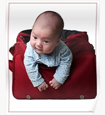 Week 7: Packed and Ready to Go Poster