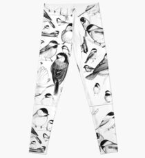 Chickadee Study Leggings