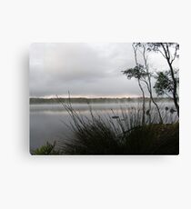 Reeds Canvas Print