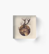 Autumn Embers Acrylic Block