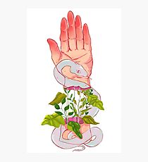 Hand Photographic Print