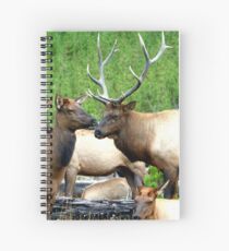 Cuaderno de espiral Rendezvous Royalty by Rob Pitzer