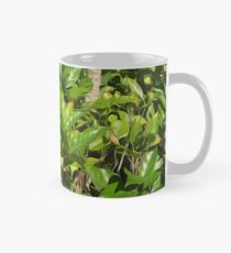 Leaves in The Morning Mug