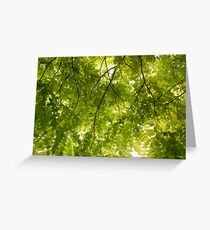 shady Greeting Card
