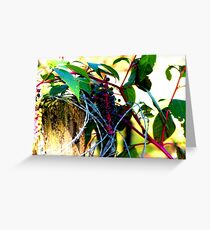 barbed wire Greeting Card