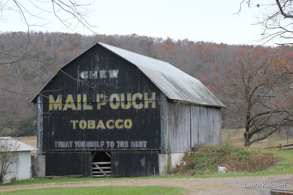 Mail Pouch Tobacco Barn By Laura Kalcheff Redbubble