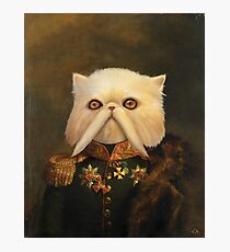 Lámina fotográfica Emperador Gato Persa