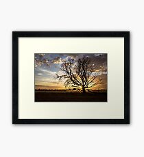 Tree Silhouette at Sunrise Framed Print
