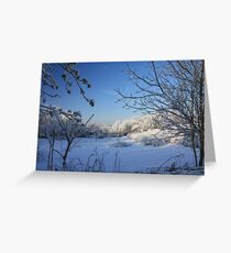 New Fallen Snow Greeting Card