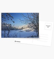 New Fallen Snow Postcards