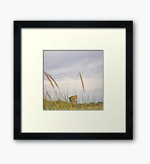 Lakes Entrance 1 Framed Print