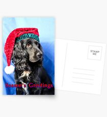 Season's greetings dog Postcards