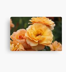 Golden Joy Canvas Print