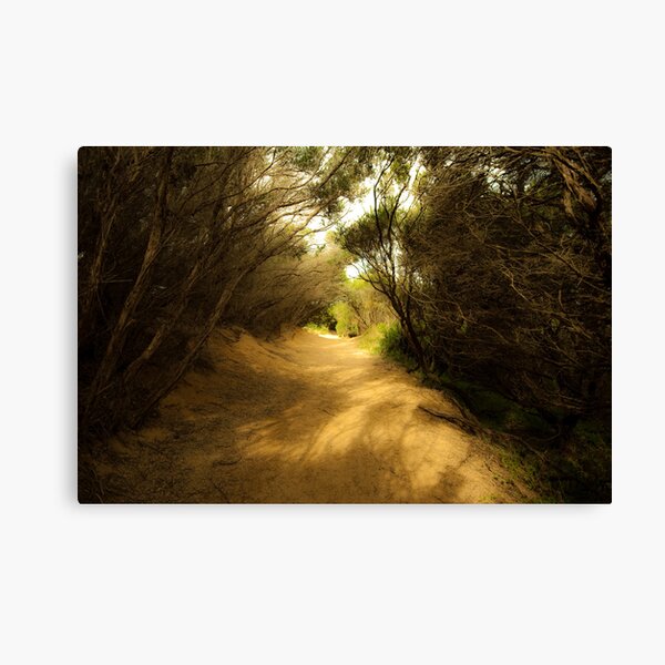 Pathway to the Beach Canvas Print