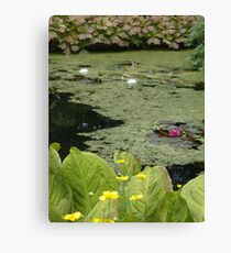 Inverewe pond Canvas Print